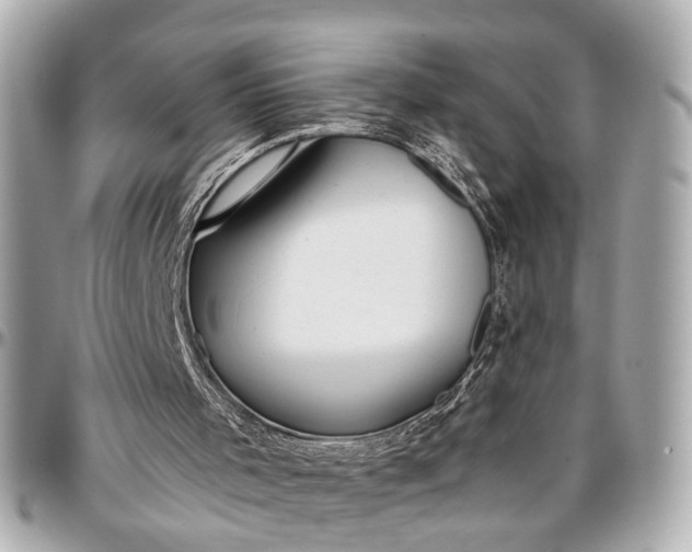 X0000096990001200802221509