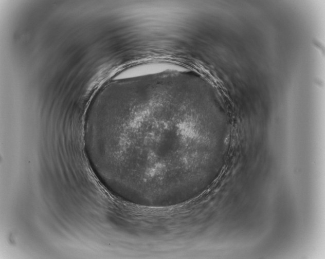 X0000096990002200802221509