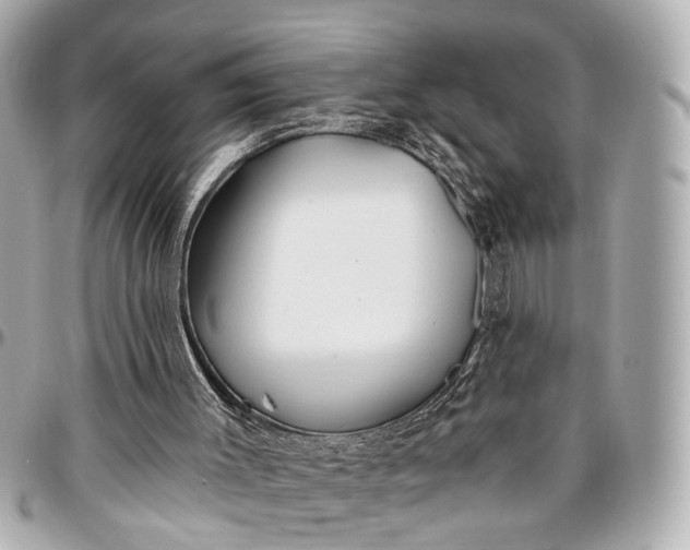 X0000096990003200802221509