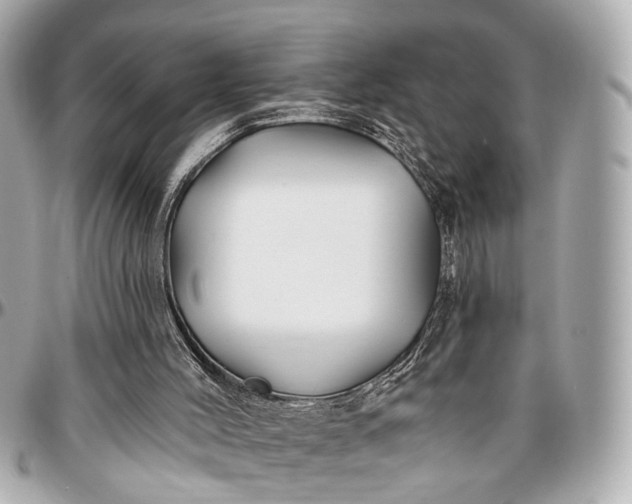 X0000096990004200802221509