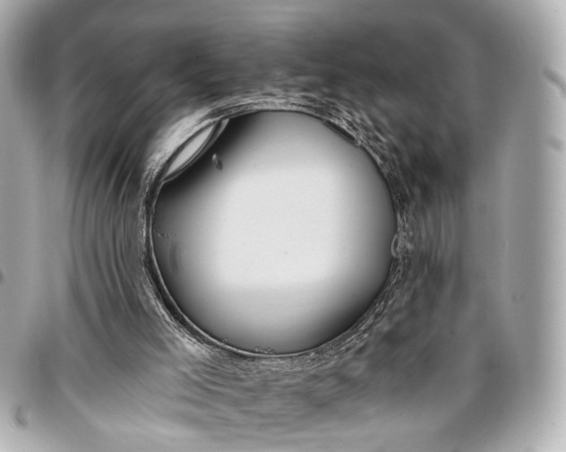 X0000096990005200802221509