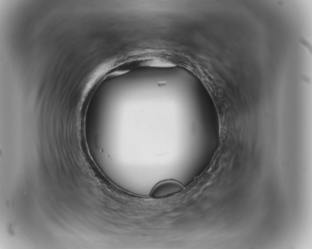 X0000096990006200802221509