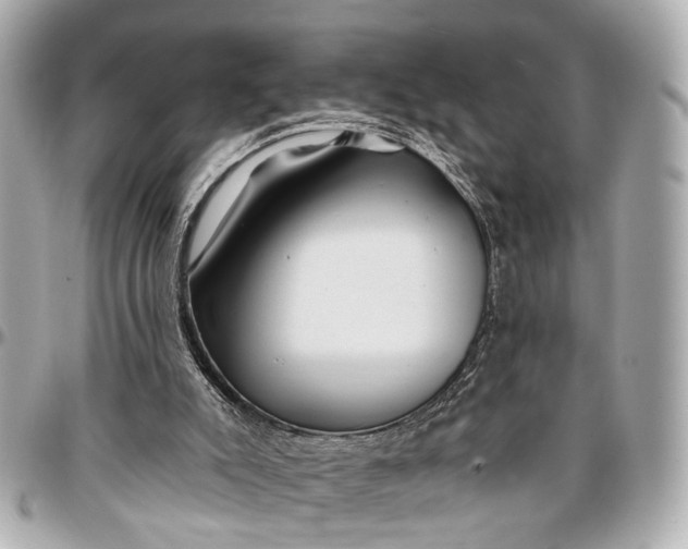 X0000096990007200802221509