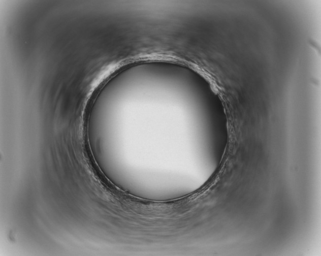 X0000096990008200802221509