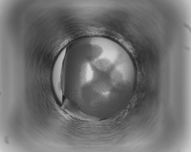 X0000096990009200802221509