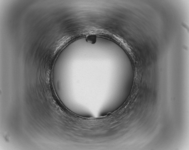 X0000096990010200802221509