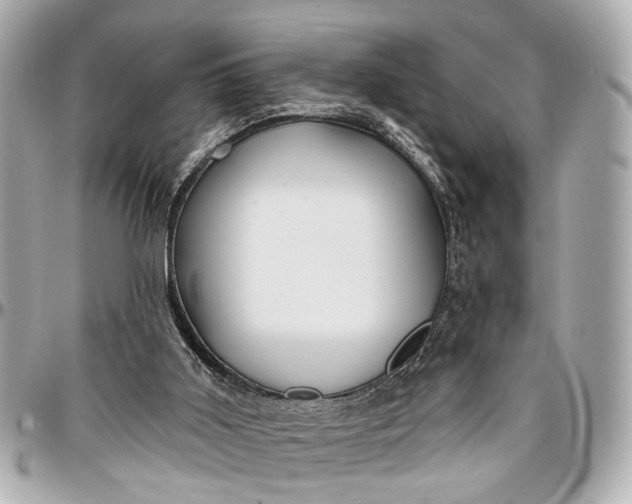 X0000096990011200802221509