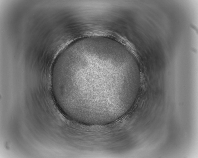 X0000096990012200802221509