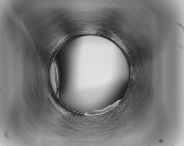 X0000096990013200802221509