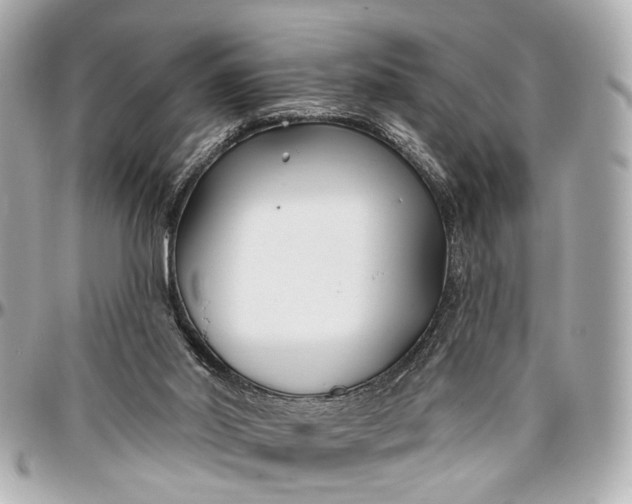 X0000096990014200802221509