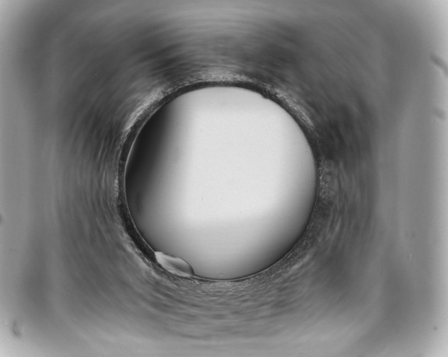 X0000096990015200802221509