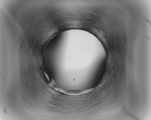 X0000096990017200802221509