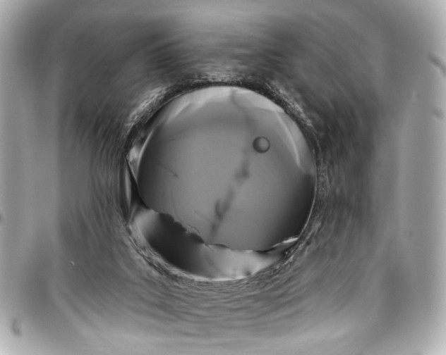 X0000096990019200802221509