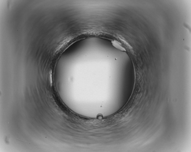 X0000096990020200802221509