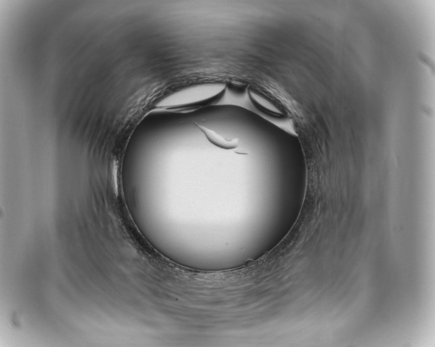 X0000096990022200802221509