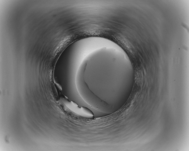 X0000096990023200802221509