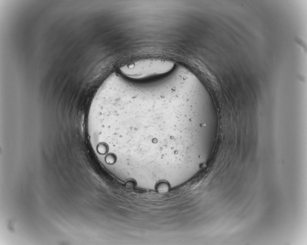 X0000096990024200802221509