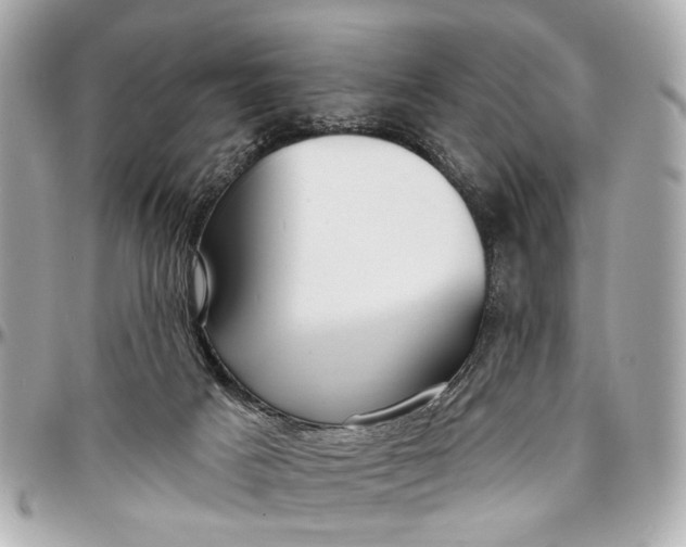 X0000096990025200802221509