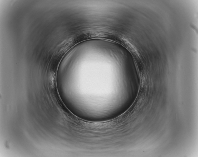 X0000096990026200802221508