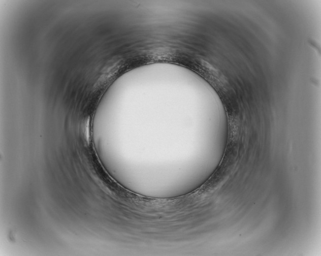 X0000096990028200802221508