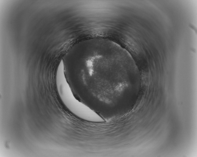 X0000096990029200802221508