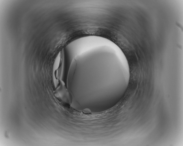 X0000096990031200802221508