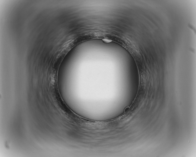 X0000096990032200802221508