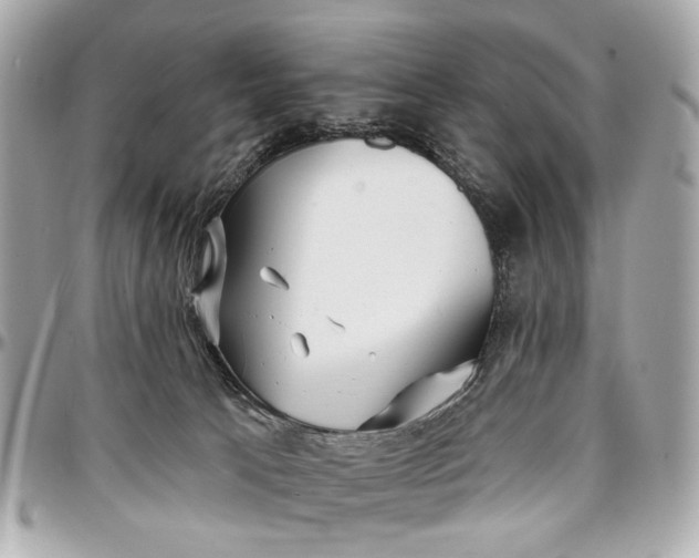 X0000096990033200802221508