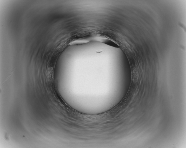 X0000096990034200802221508