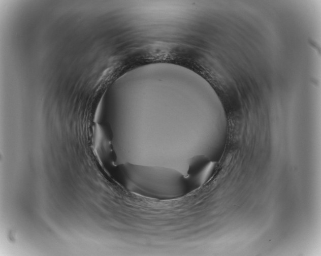 X0000096990035200802221508