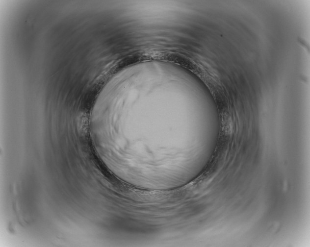 X0000096990036200802221508