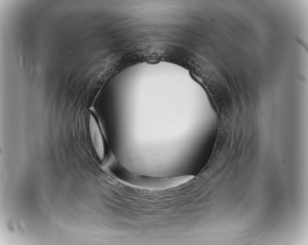 X0000096990037200802221508