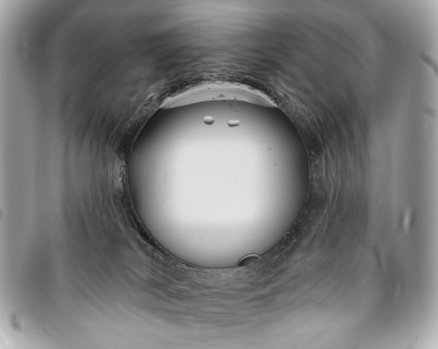 X0000096990038200802221508