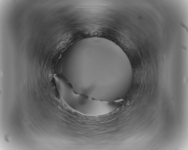 X0000096990039200802221508