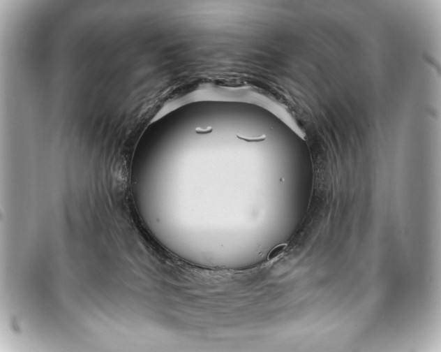 X0000096990040200802221508