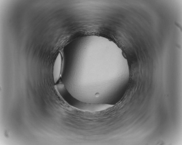 X0000096990041200802221508