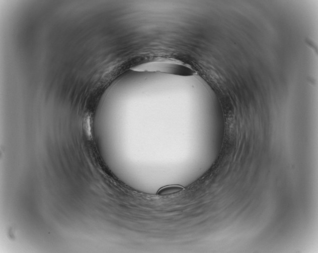 X0000096990042200802221508