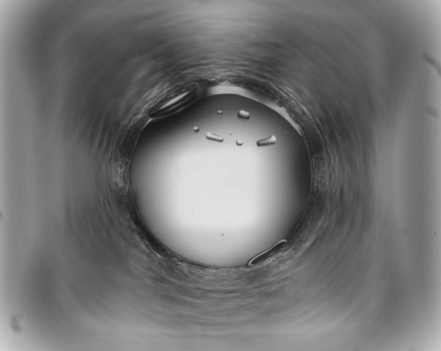 X0000096990044200802221508