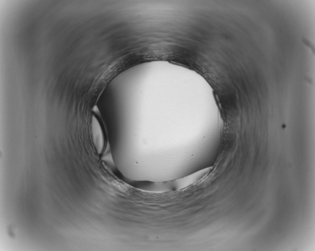 X0000096990045200802221508