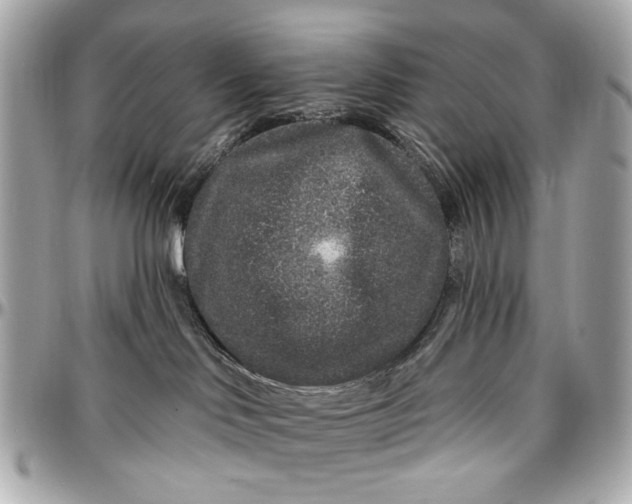 X0000096990046200802221508