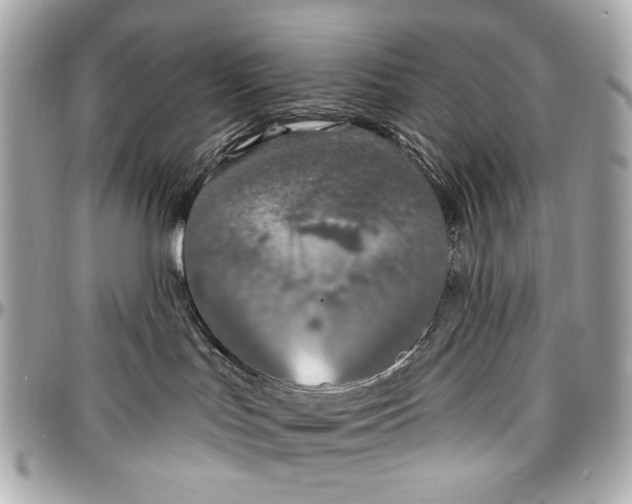 X0000096990047200802221508