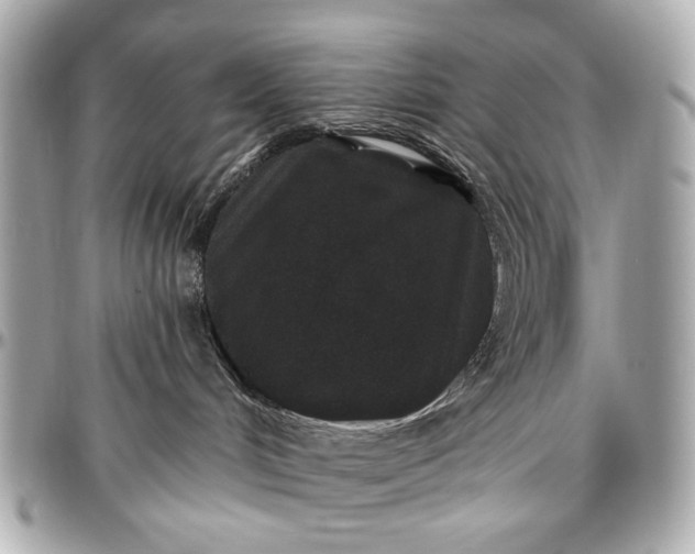 X0000096990048200802221508