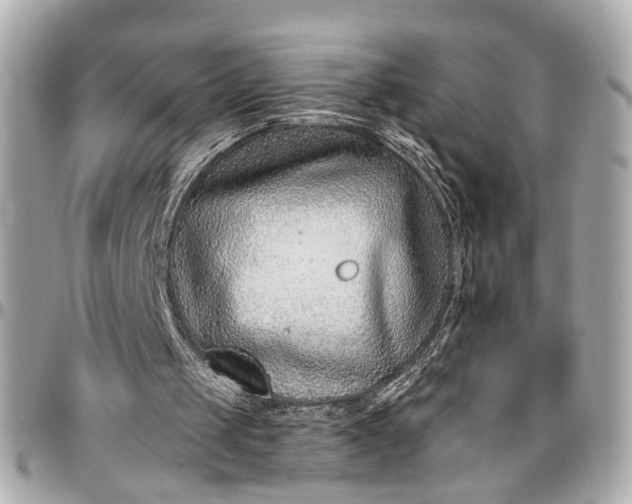 X0000096990049200802221508