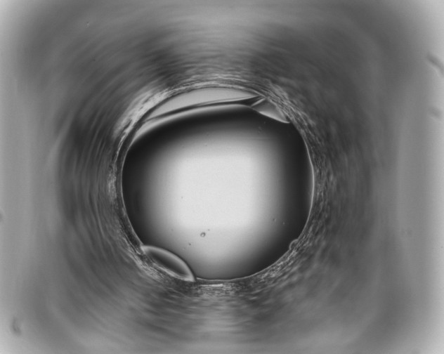 X0000096990050200802221508