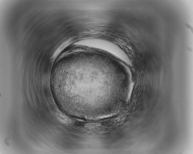 X0000096990051200802221508