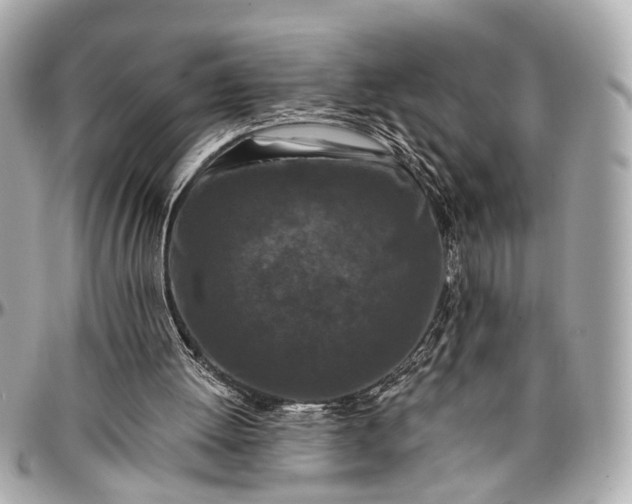 X0000096990052200802221508