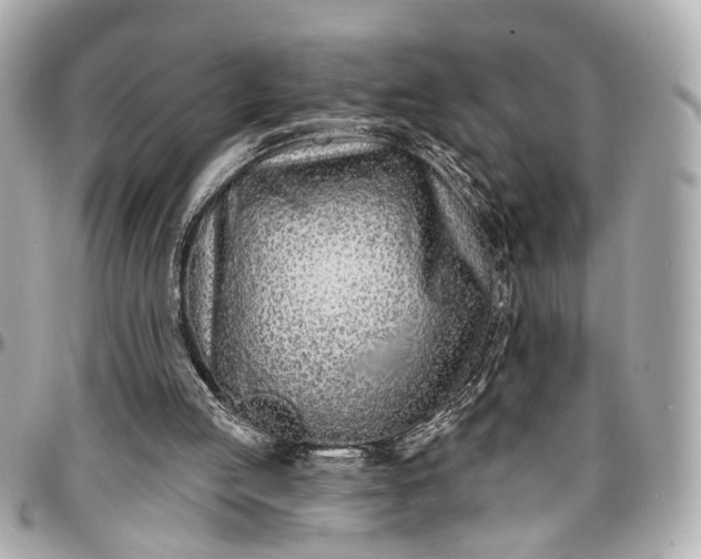 X0000096990053200802221508