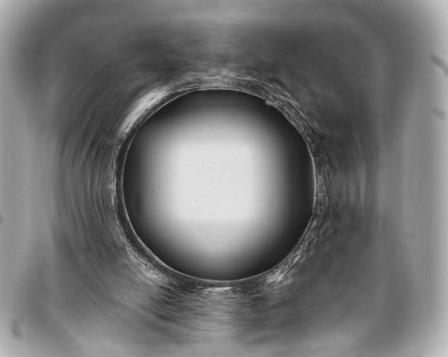 X0000096990054200802221508