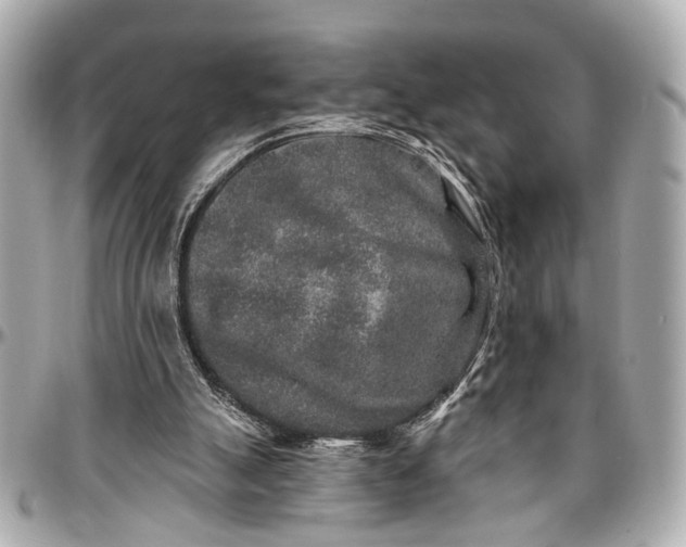 X0000096990055200802221508