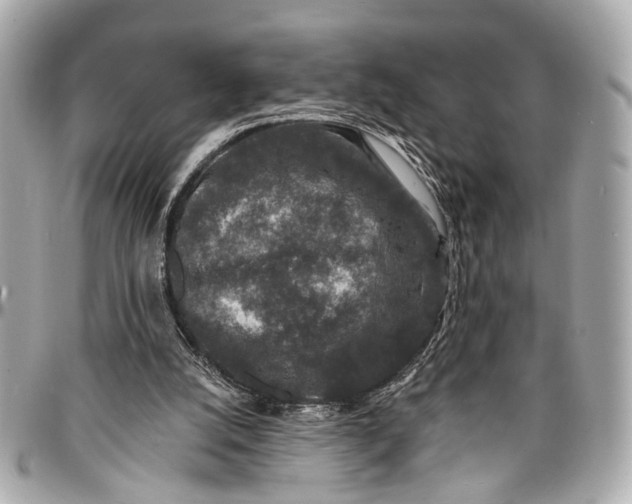 X0000096990056200802221508